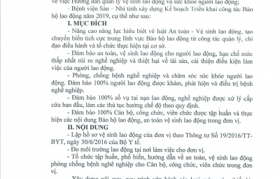 KẾ HOẠCH TRIỂN KHAI CÔNG TÁC BẢO HỘ LAO ĐỘNG NĂM 2019